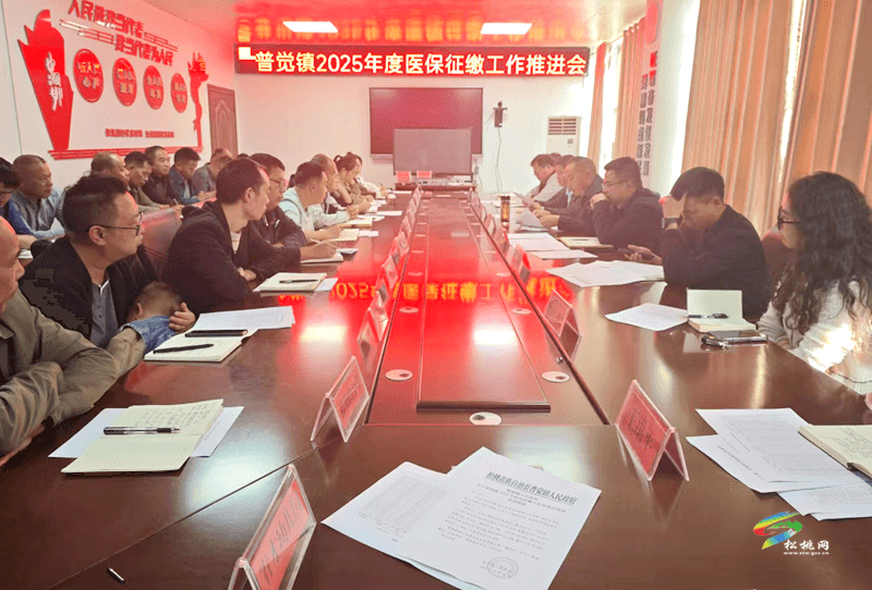 普覺(jué)鎮(zhèn)多措施開(kāi)展2025年度醫(yī)保宣傳收繳工作