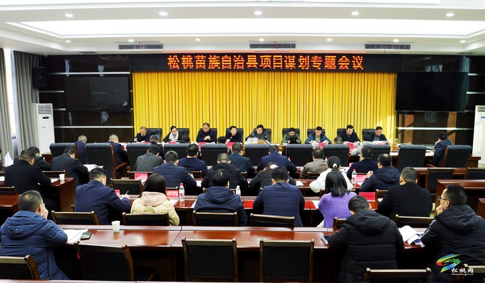 縣項(xiàng)目謀劃專題會(huì)議召開(kāi)