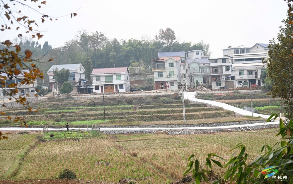 迓駕鎮(zhèn)青山村：學習運用“千萬工程”經(jīng)驗 推進人居環(huán)境提質(zhì)改造