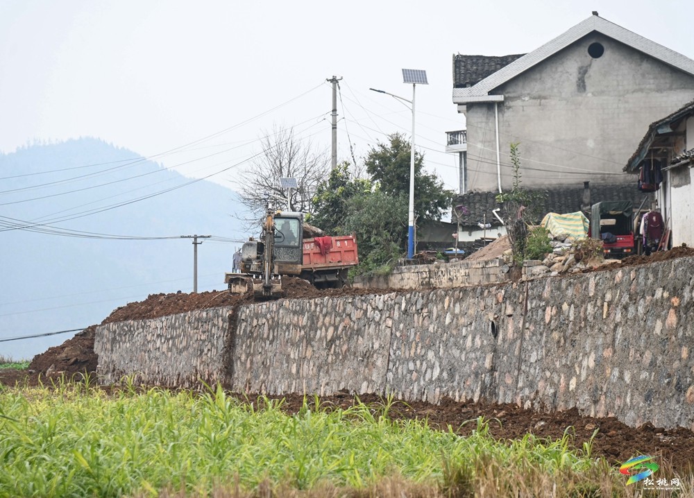 迓駕鎮(zhèn)青山村：學習運用“千萬工程”經(jīng)驗 推進人居環(huán)境提質(zhì)改造
