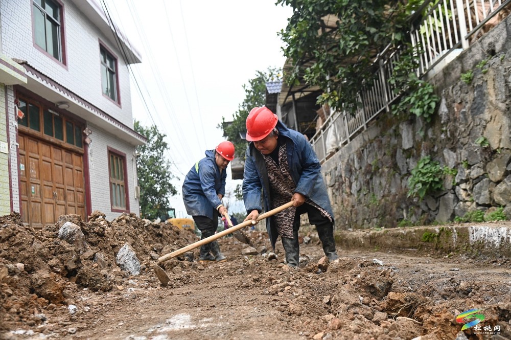 迓駕鎮(zhèn)青山村：學習運用“千萬工程”經(jīng)驗 推進人居環(huán)境提質(zhì)改造