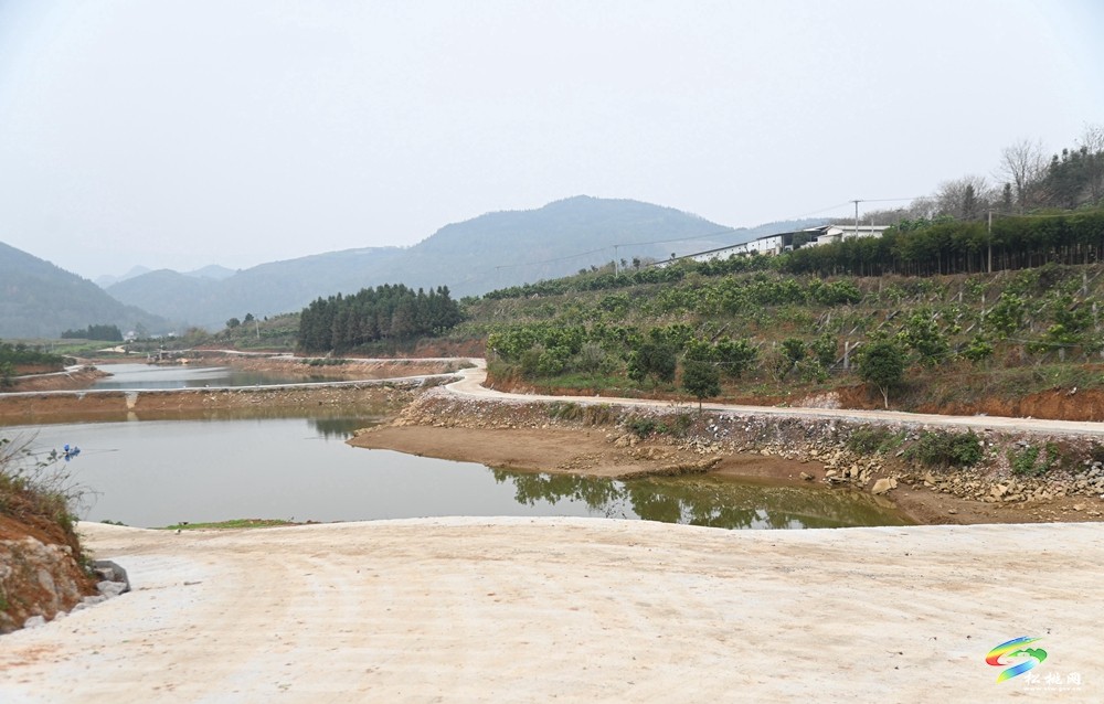迓駕鎮(zhèn)青山村：學習運用“千萬工程”經(jīng)驗 推進人居環(huán)境提質(zhì)改造