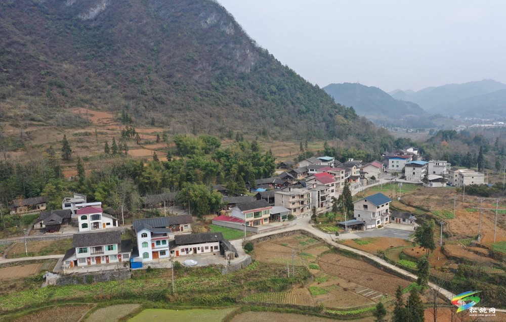 烏羅鎮(zhèn)黔龍村開展冬季果樹養(yǎng)護