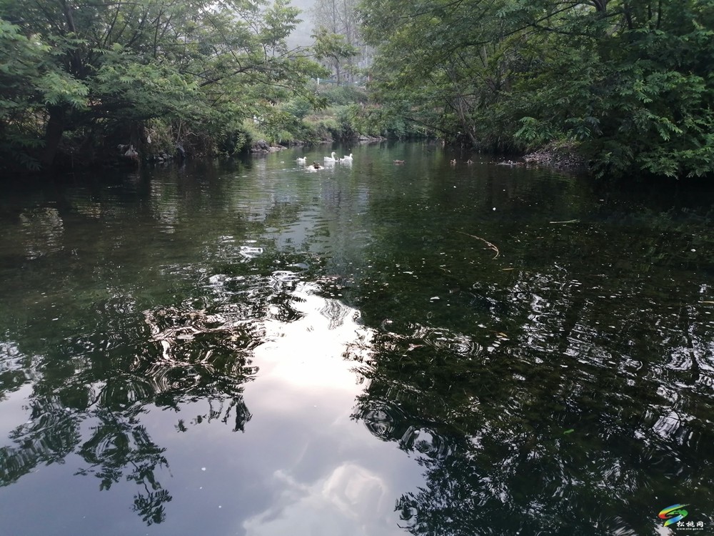 普覺鎮(zhèn)水銀村“五位一體”助力鄉(xiāng)村振興