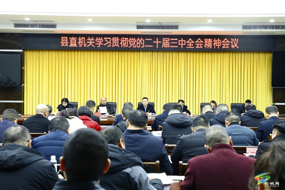 縣直機(jī)關(guān)“四強(qiáng)”黨支部授牌暨2024年新任基層黨組織書記集體談話會議召開