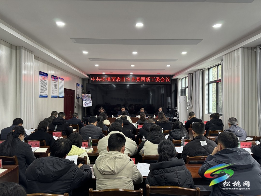 縣委兩新工委會議召開