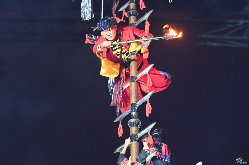 “群星”閃耀九龍湖