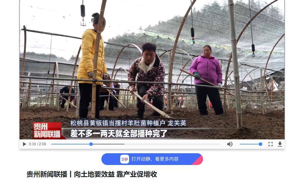 【成績(jī)單來(lái)了！】松桃2024年1月份對(duì)外宣傳成績(jī)單