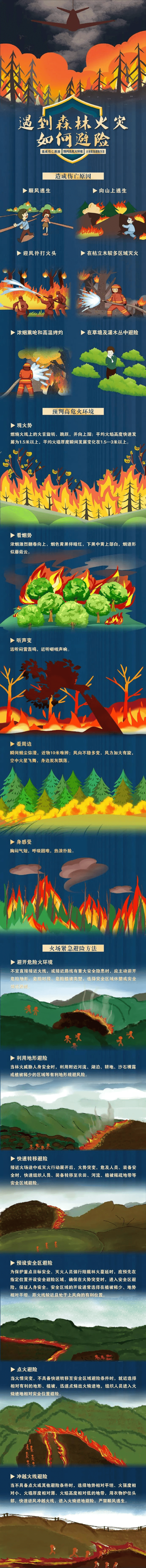 關(guān)于森林防火,這些知識(shí)需掌握→