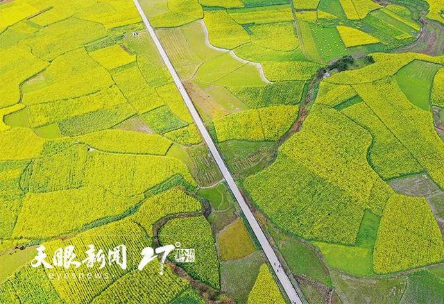 上春山 賞百花｜莫負(fù)黔地好光景 春游貴州正當(dāng)時