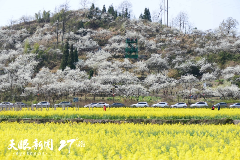 上春山 賞百花｜莫負(fù)黔地好光景 春游貴州正當(dāng)時