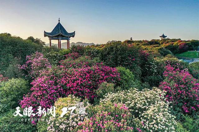 上春山 賞百花｜莫負(fù)黔地好光景 春游貴州正當(dāng)時