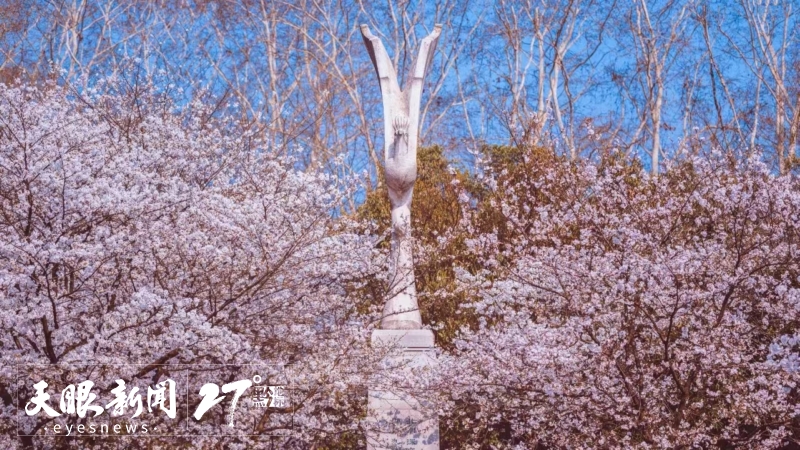 來貴州 上春山｜貴州櫻花邀約武大櫻花 一起“唱”游花漾中國