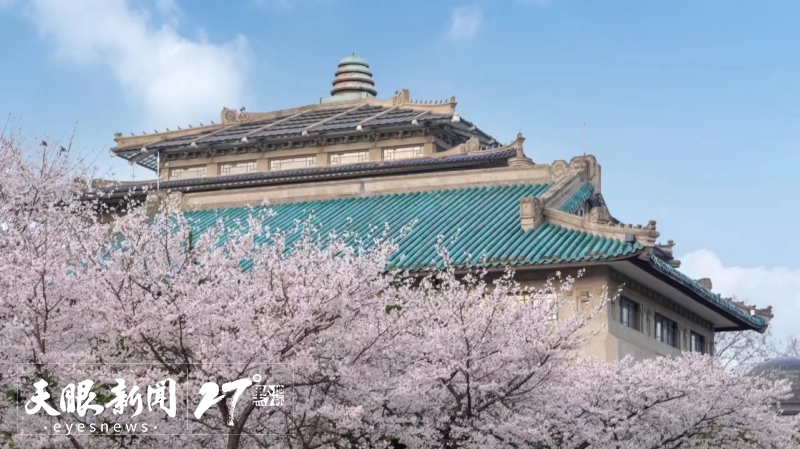 來貴州 上春山｜貴州櫻花邀約武大櫻花 一起“唱”游花漾中國
