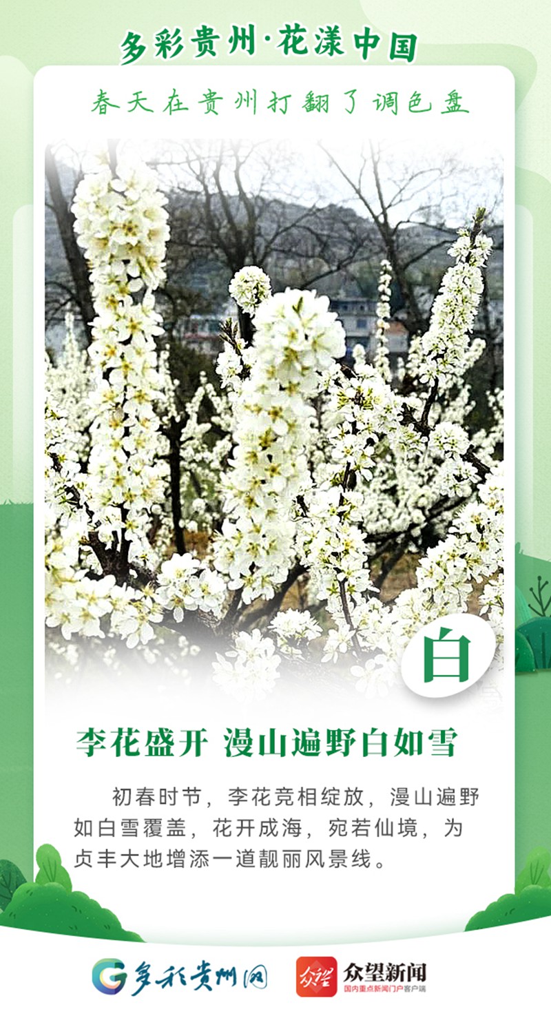 【多彩貴州·花漾中國(guó)】春天在貴州打翻了調(diào)色盤