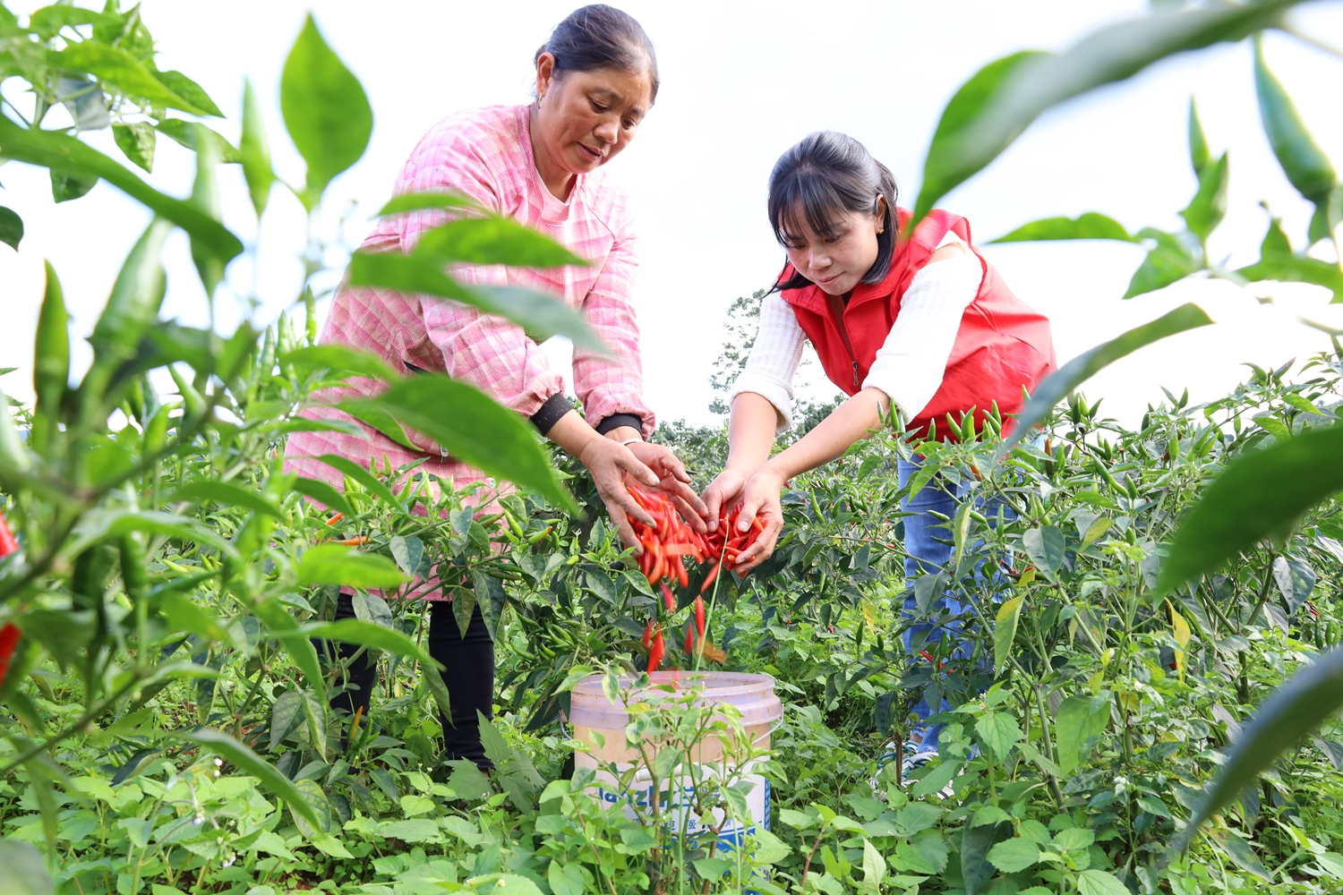 《貴州日?qǐng)?bào)》刊登乾興平署名文章：振奮精神 不負(fù)春光 全力推進(jìn)貴州高質(zhì)量發(fā)展和現(xiàn)代化建設(shè)｜寫(xiě)在2024年全國(guó)兩會(huì)召開(kāi)之際