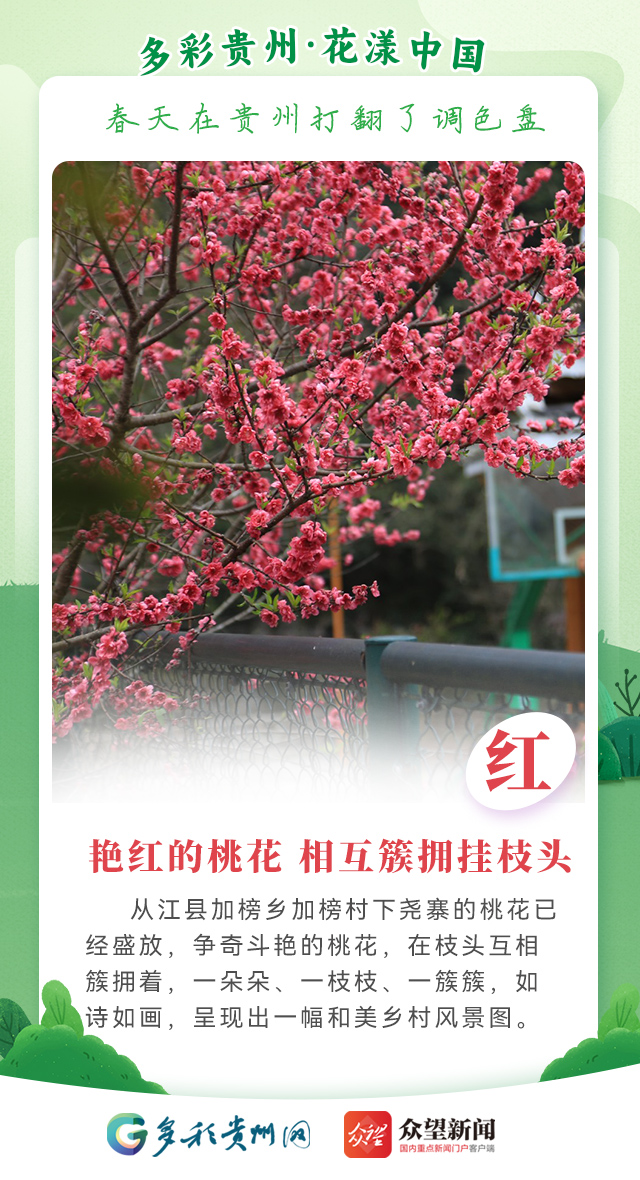 【多彩貴州·花漾中國(guó)】春天在貴州打翻了調(diào)色盤
