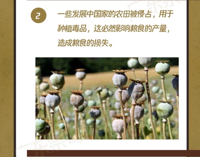 你可能不知道，它也是環(huán)境破壞者！保護(hù)地球，我們一起行動(dòng)！