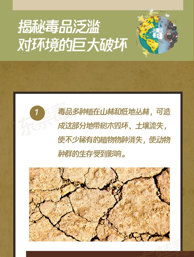 你可能不知道，它也是環(huán)境破壞者！保護(hù)地球，我們一起行動(dòng)！