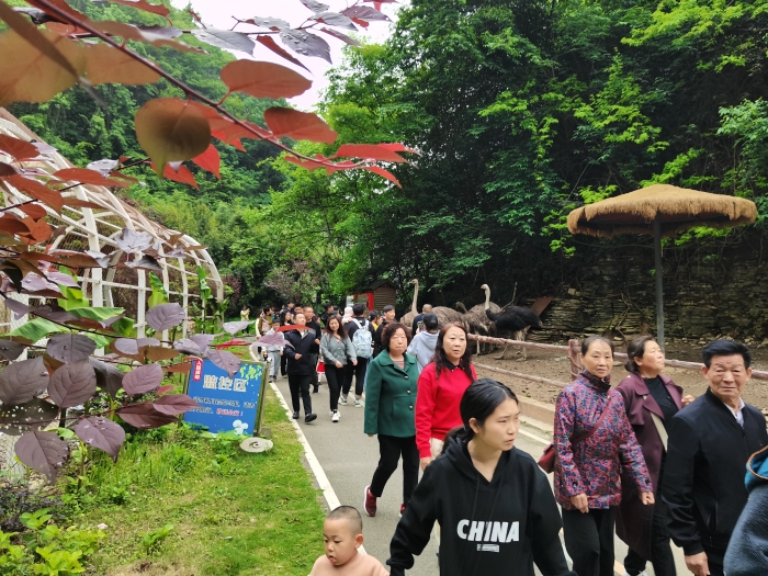貴州“五一”花樣整活人氣旺 “反向游”成性價(jià)比新寵