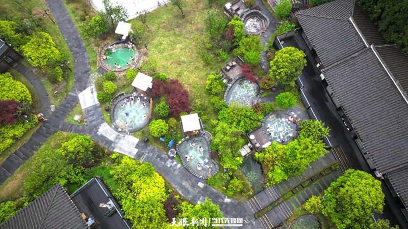 百里杜鵑：花間溫泉引客來