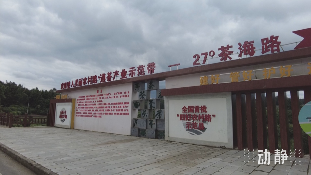 四好農(nóng)村路丨湄潭27°茶海路：致富路