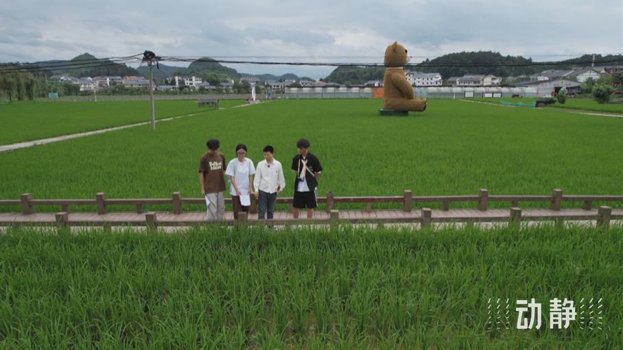 “關(guān)鍵一招”在基層丨走出貴州大山的寒門學(xué)子，立志回農(nóng)村闖出一片新天地