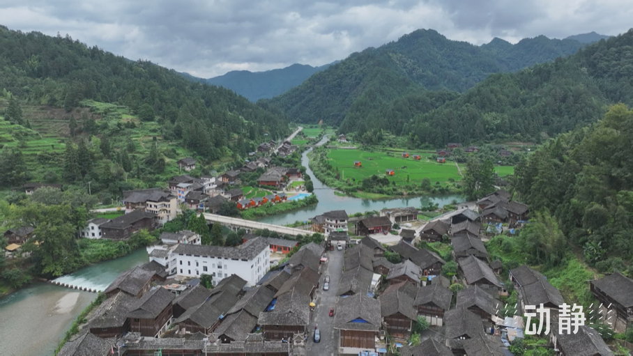 “關(guān)鍵一招”在基層丨走出貴州大山的寒門學(xué)子，立志回農(nóng)村闖出一片新天地