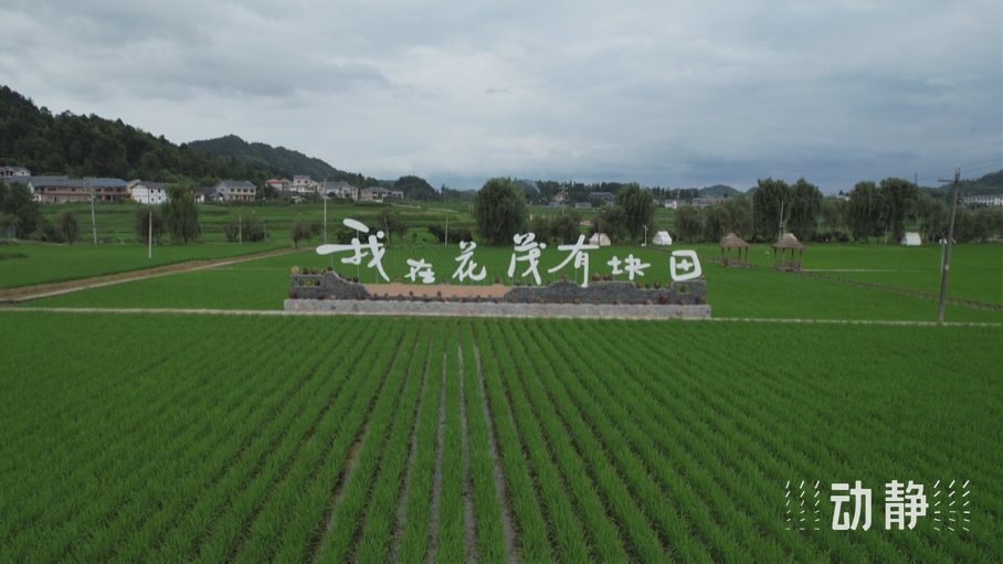 “關(guān)鍵一招”在基層丨走出貴州大山的寒門學(xué)子，立志回農(nóng)村闖出一片新天地