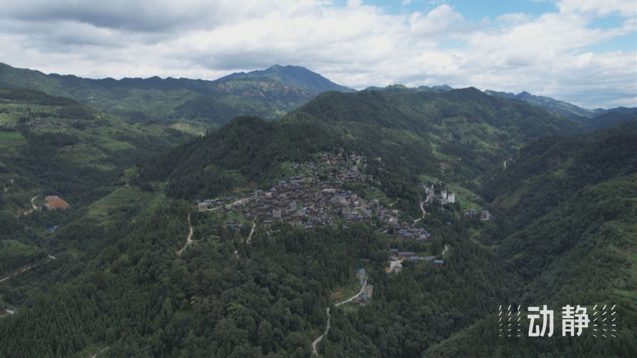 “關(guān)鍵一招”在基層丨走出貴州大山的寒門學(xué)子，立志回農(nóng)村闖出一片新天地