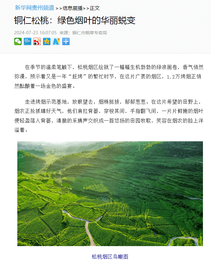 【成績單來了！】松桃2024年7月份對外宣傳成績單