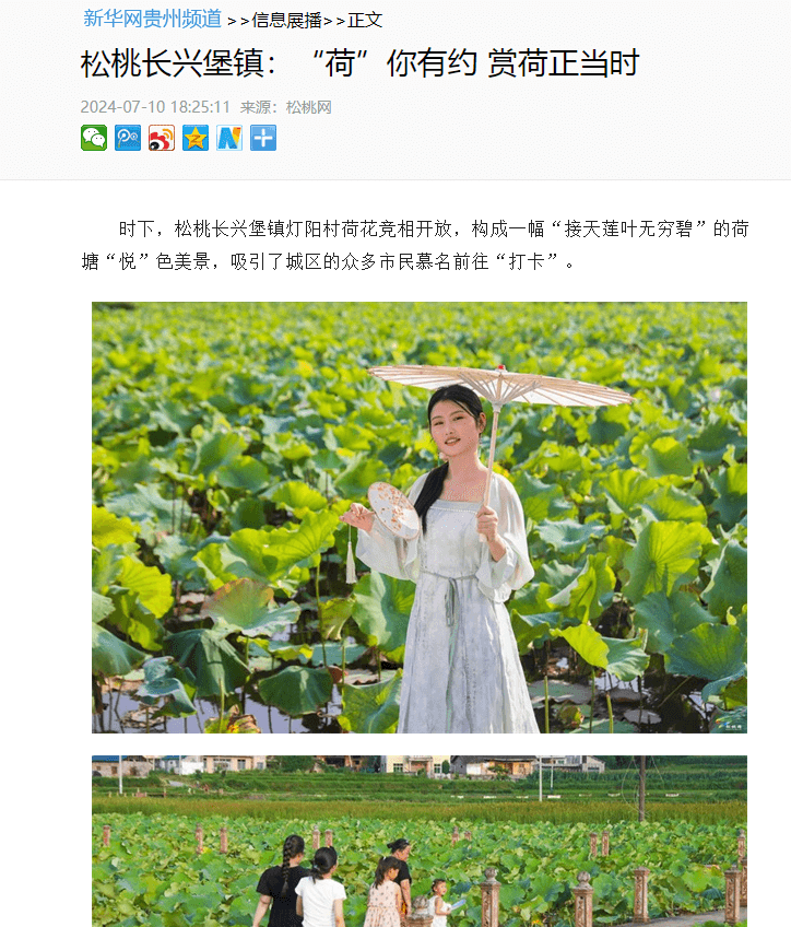【成績單來了！】松桃2024年7月份對外宣傳成績單