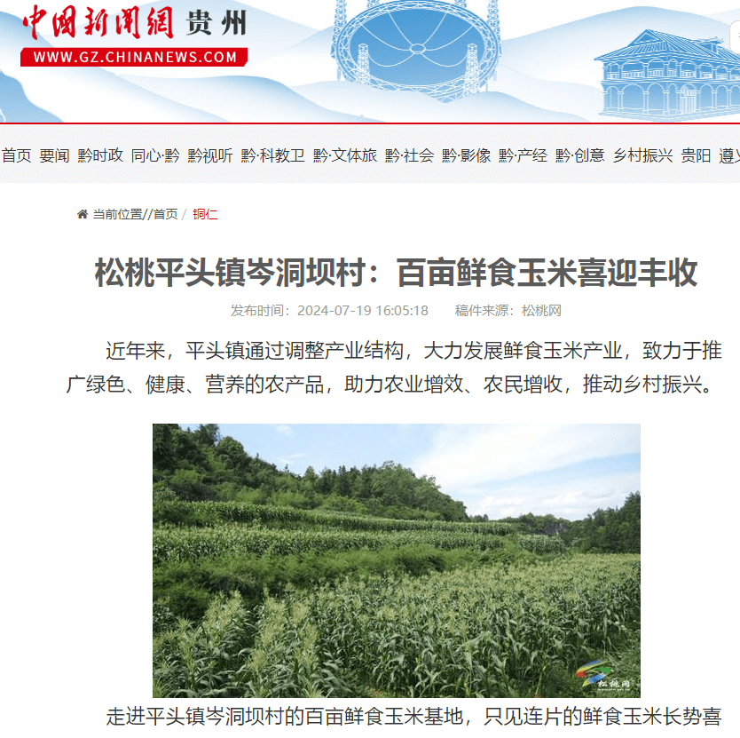 【成績單來了！】松桃2024年7月份對外宣傳成績單