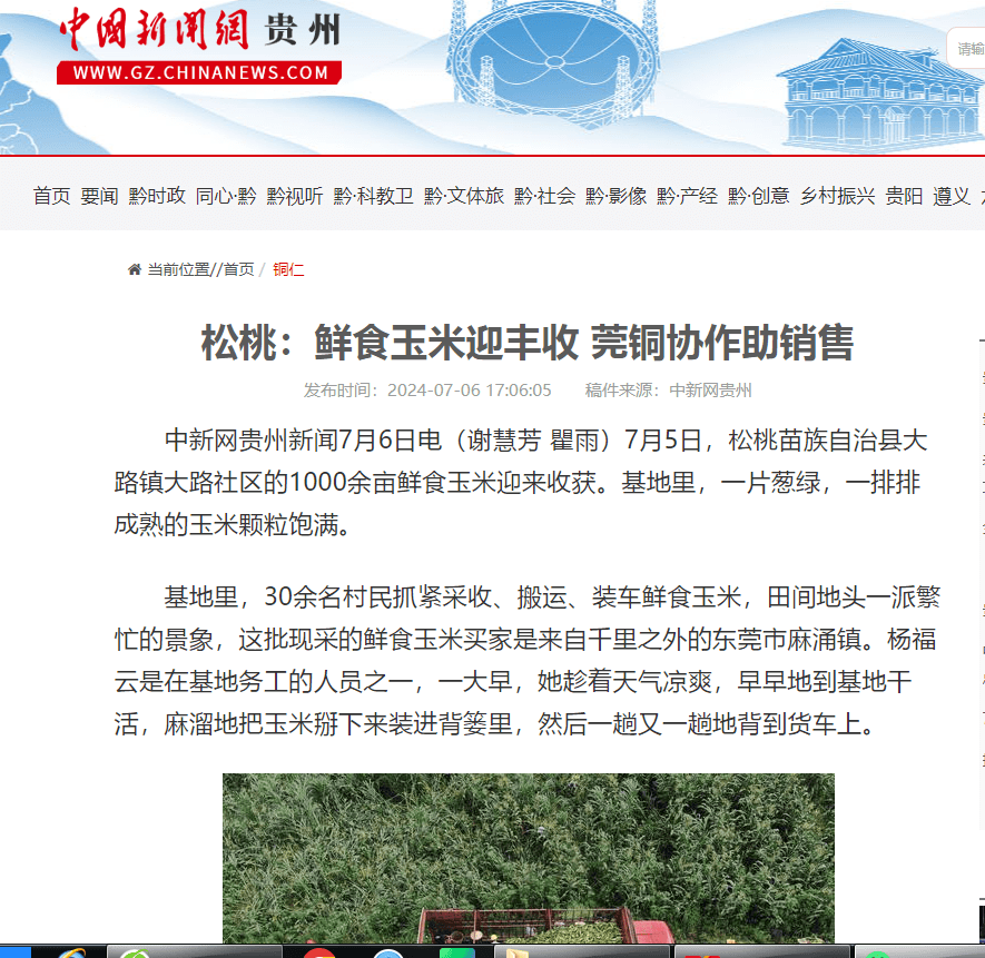 【成績單來了！】松桃2024年7月份對外宣傳成績單