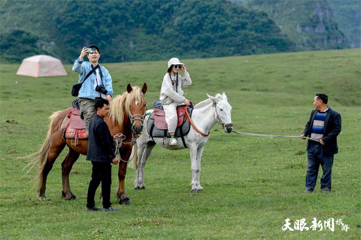在阿西里西遇見(jiàn)“草原牧歌”，打卡貴州版“阿勒泰”