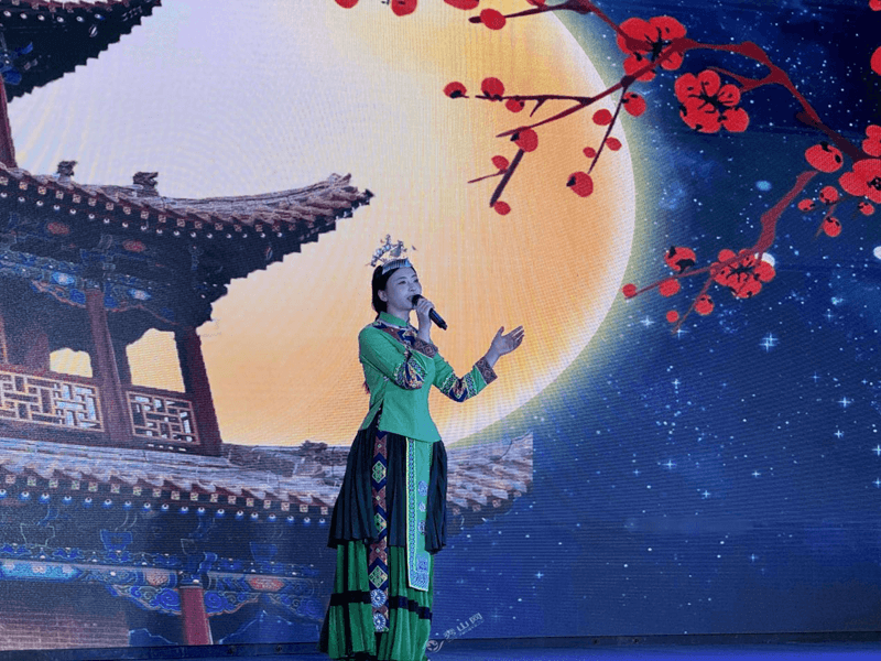 聚焦第12屆武陵山商品交易博覽會(huì)：群星閃耀，超大展區(qū)匯聚商機(jī)，多重政策補(bǔ)貼促發(fā)展