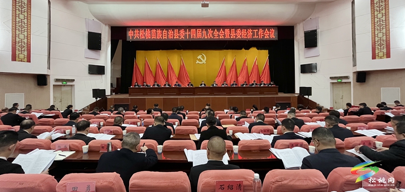 快訊 | 縣委十四屆九次全會(huì)暨縣委經(jīng)濟(jì)工作會(huì)議舉行