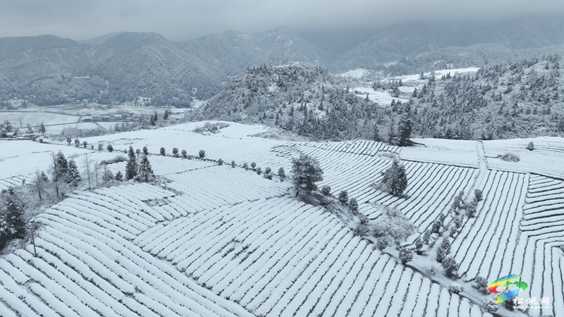 松桃烏羅鎮(zhèn)：雪景圖上新 一大波美景圖來襲~
