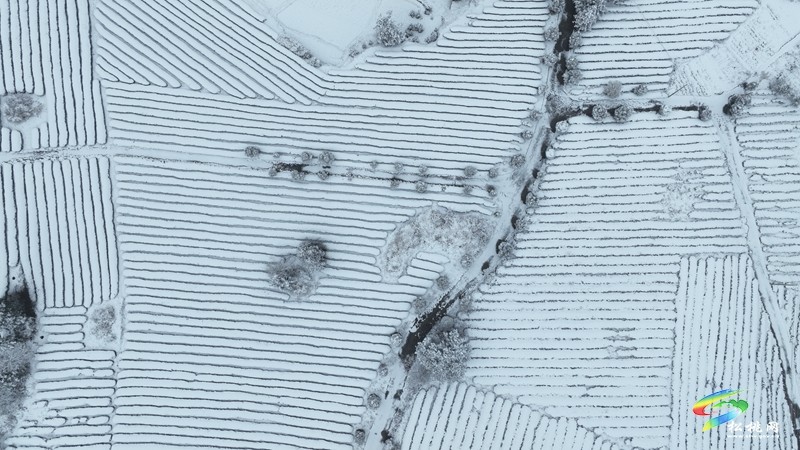 松桃烏羅鎮(zhèn)：雪景圖上新 一大波美景圖來襲~