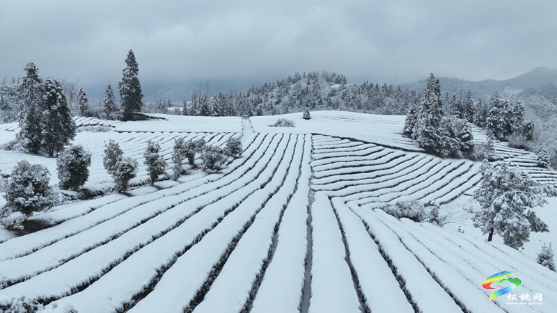 松桃烏羅鎮(zhèn)：雪景圖上新 一大波美景圖來襲~