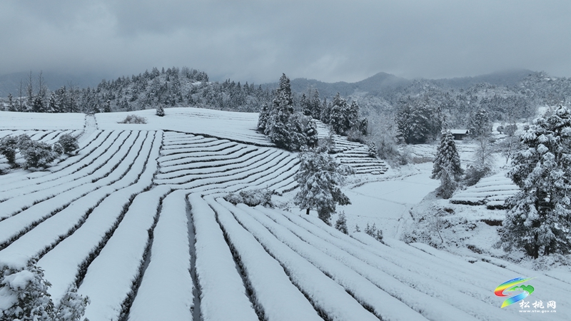 松桃烏羅鎮(zhèn)：雪景圖上新 一大波美景圖來襲~