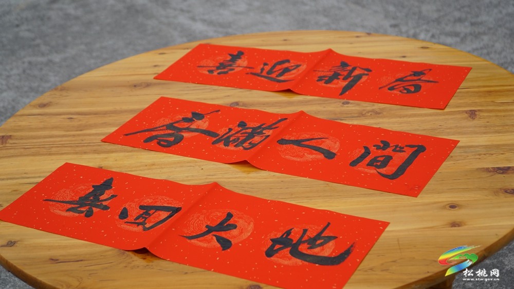 團(tuán)縣委開(kāi)展服務(wù)外出返鄉(xiāng)青年迎新春聯(lián)誼活動(dòng)