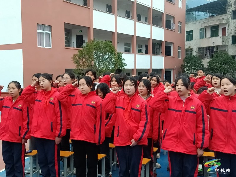 妙隘鄉(xiāng)完小舉行2025年春季學(xué)期開學(xué)典禮