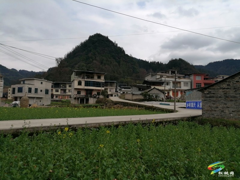 普覺(jué)鎮(zhèn)水銀村積極探索衛(wèi)生管理新模式