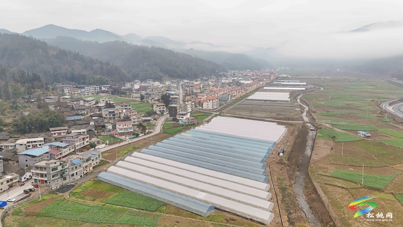 松桃：春耕忙育苗  繪就鄉(xiāng)村振興新圖景