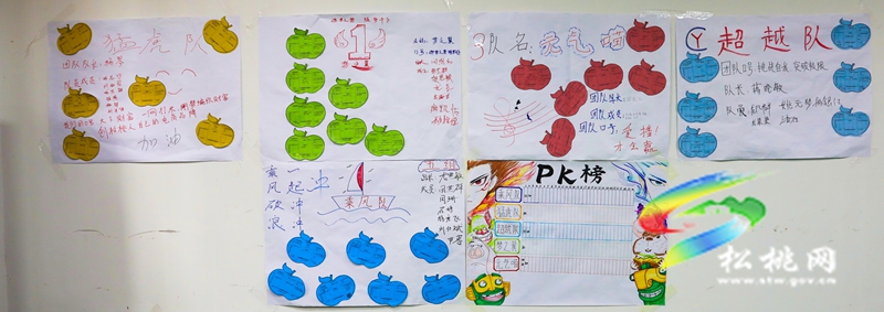 松桃:開(kāi)展電子商務(wù)培訓(xùn) 點(diǎn)亮創(chuàng)業(yè)就業(yè)新希望