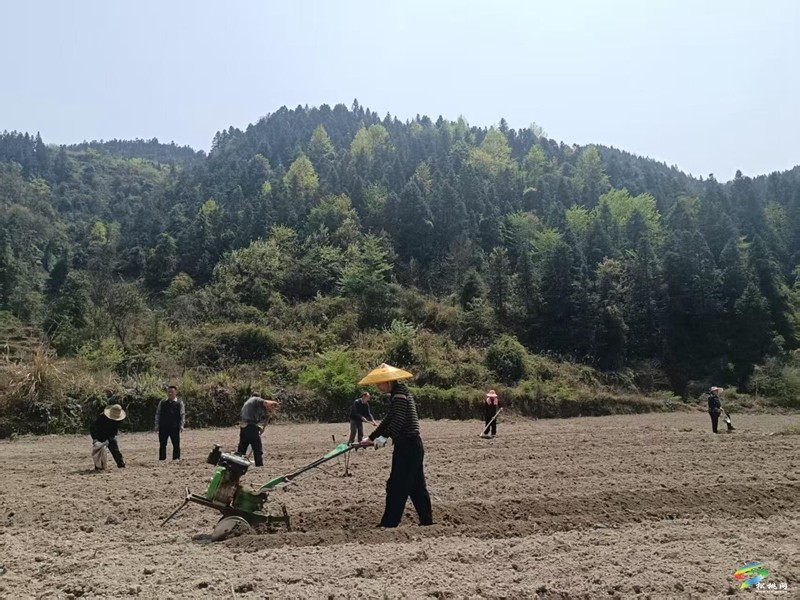 不負(fù)春光,春耕備耕一片“鬧”景象