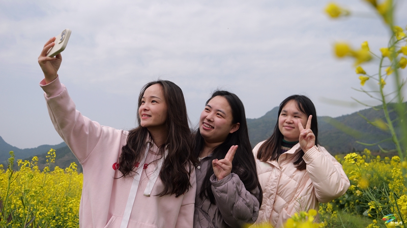 春日限定！普覺這片“花花世界”等你邂逅