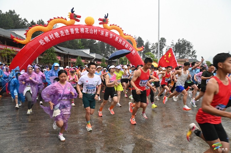 【吃貴州“晚飯”·看松桃村晚】春季采茶正當(dāng)時(shí)  文旅融合促振興——松桃村晚走進(jìn)普覺(jué)棉花山村采茶節(jié)活動(dòng)火熱舉辦