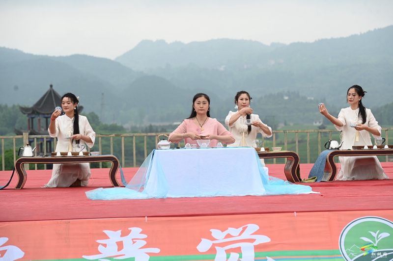 【吃貴州“晚飯”·看松桃村晚】春季采茶正當(dāng)時(shí)  文旅融合促振興——松桃村晚走進(jìn)普覺(jué)棉花山村采茶節(jié)活動(dòng)火熱舉辦